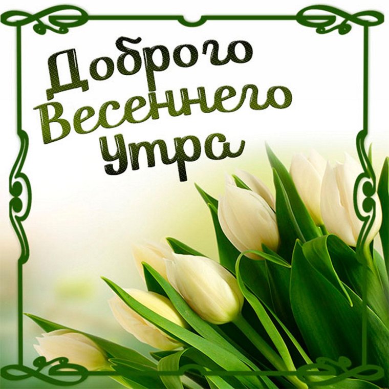 Поздравления с добрым весенним утром