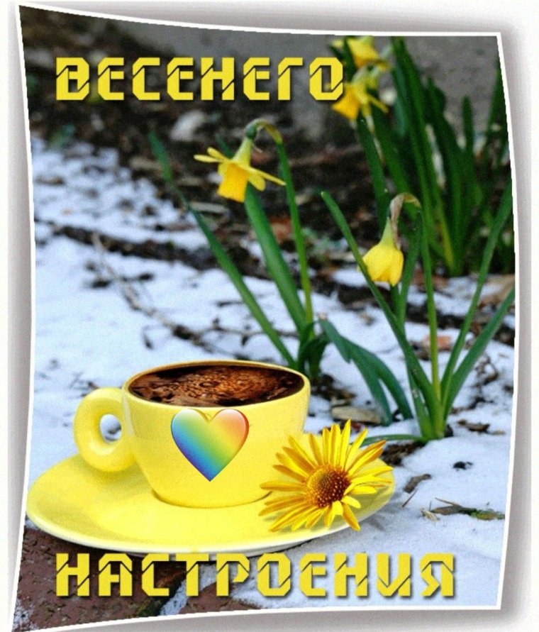 Доброе утро и отличного настроения Весна