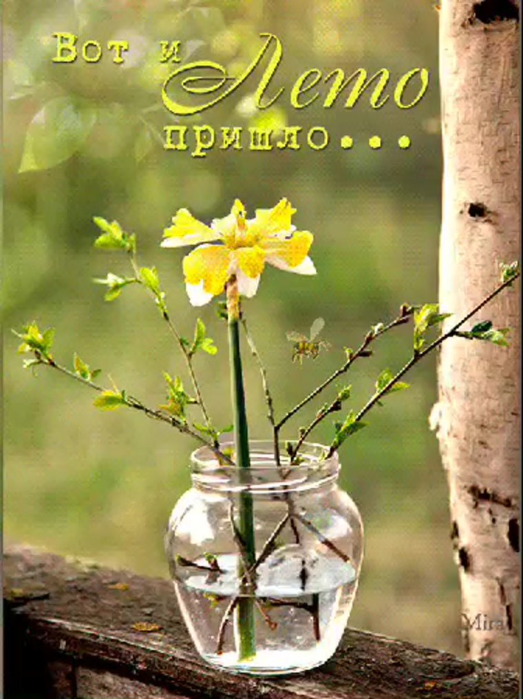 Доброе утро Весна пришла