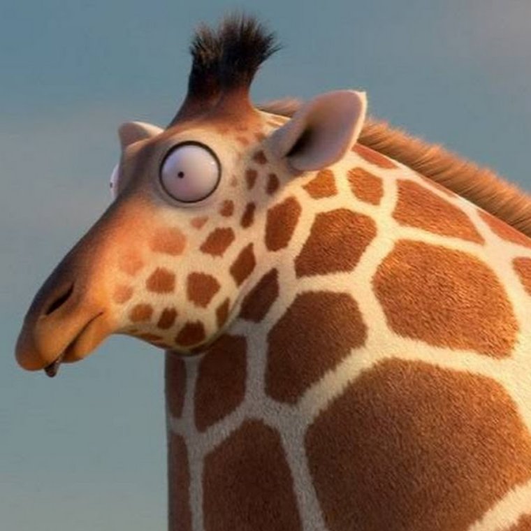 Шутки про жирафика