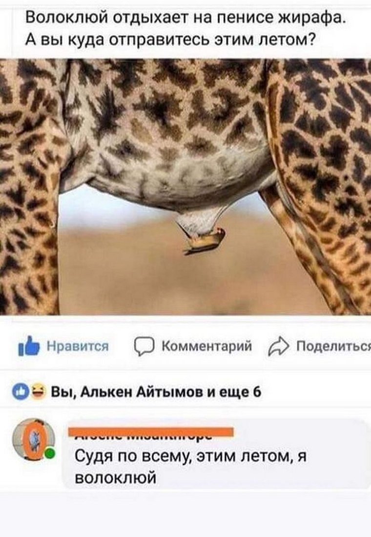 Жирафы отель Найроби