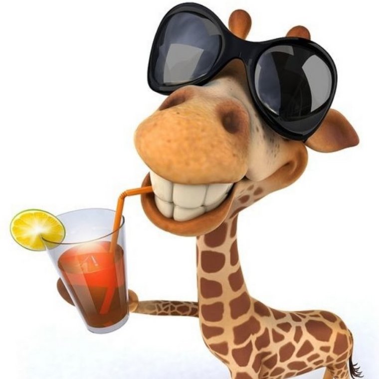 Веселый Жирафик