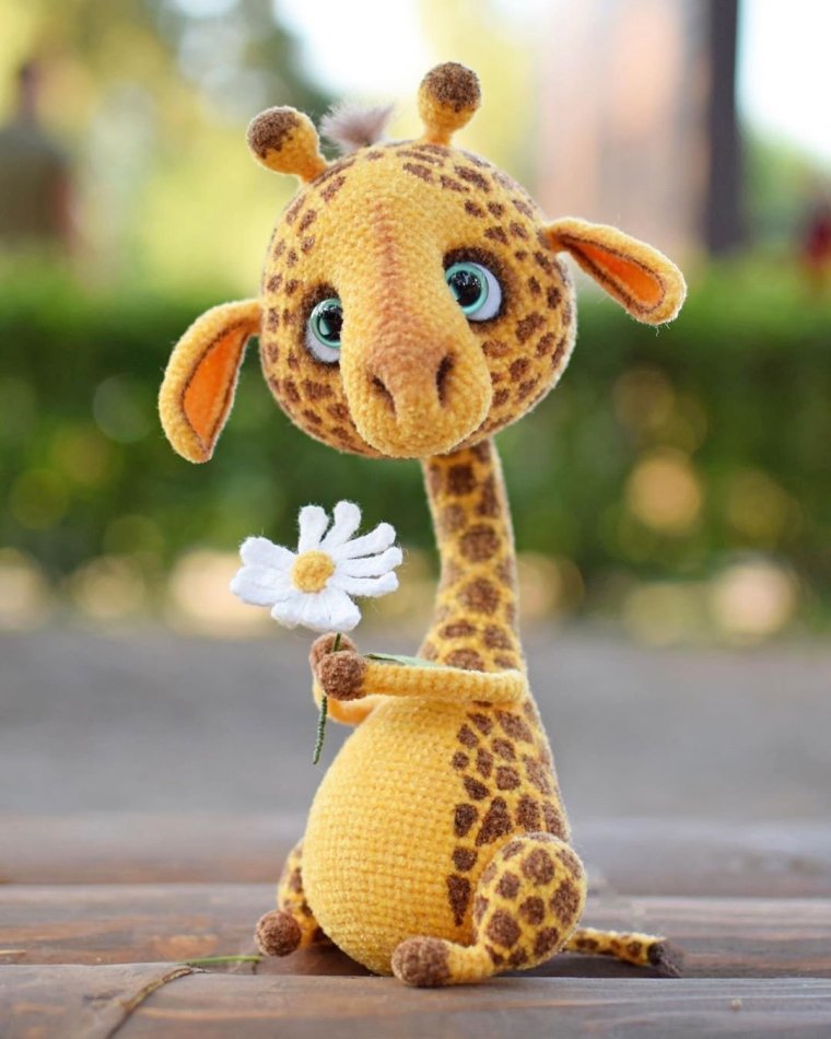 Жираф прикол