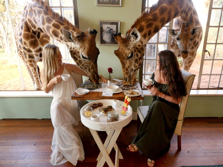 Смешные картинки про любовь