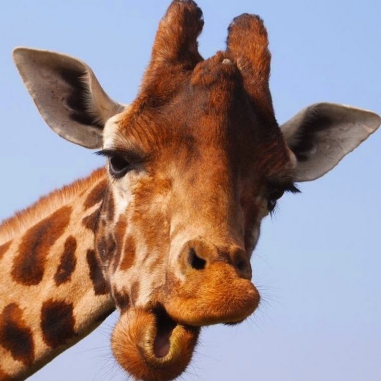 Рисунки для поднятия настроения