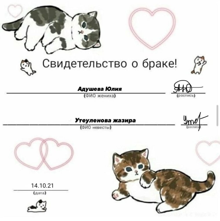 Пенсионное удостоверение