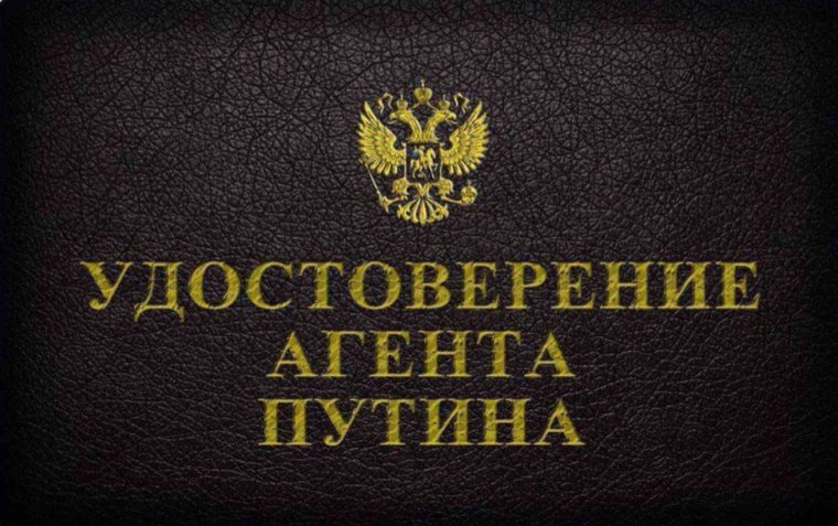 Свидетельство о браке с котиками