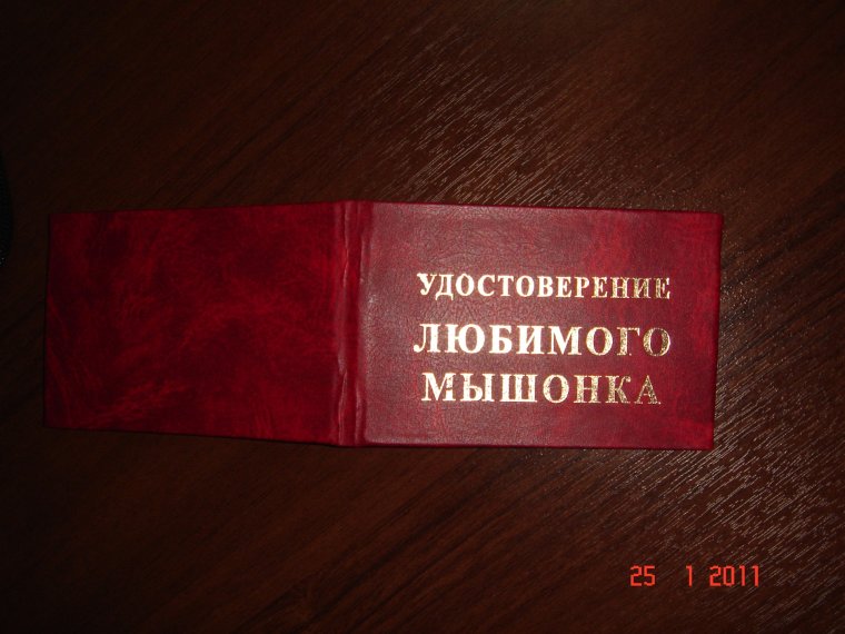 Пропуск обложка красная