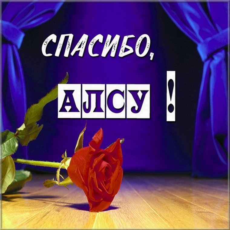 Привет Сашенька