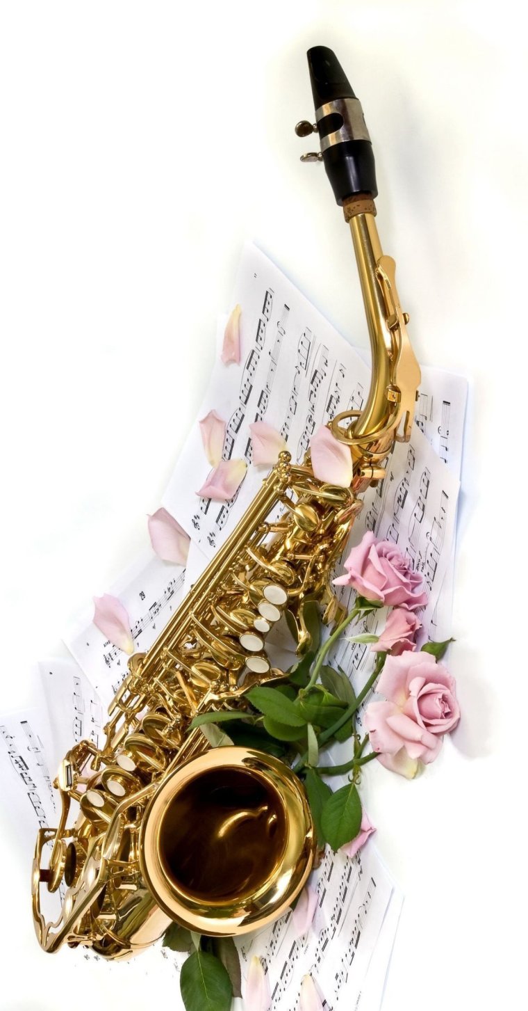 Музыкальные инструменты в цветах