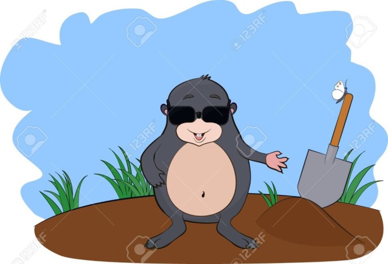 Крот в очках