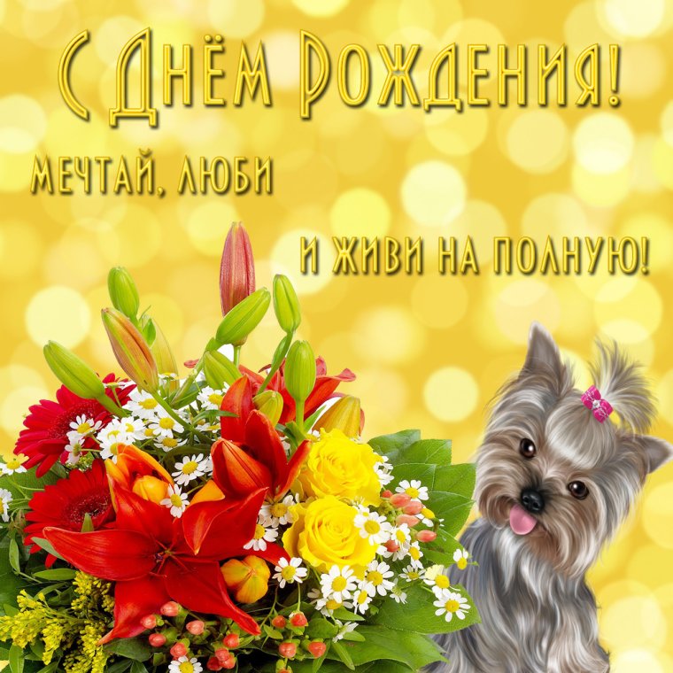 Поздравления с днём рождения