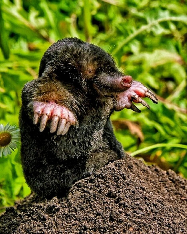 Стикер с очками