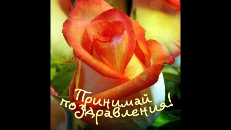 С днём рождения Лена прикольные