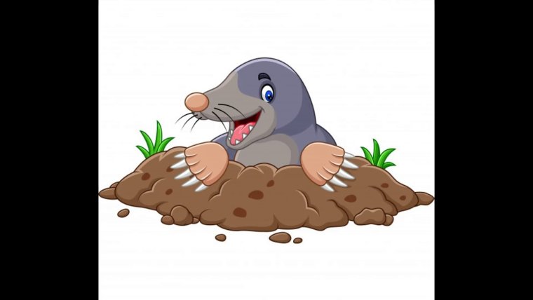 Фото крота из мультика