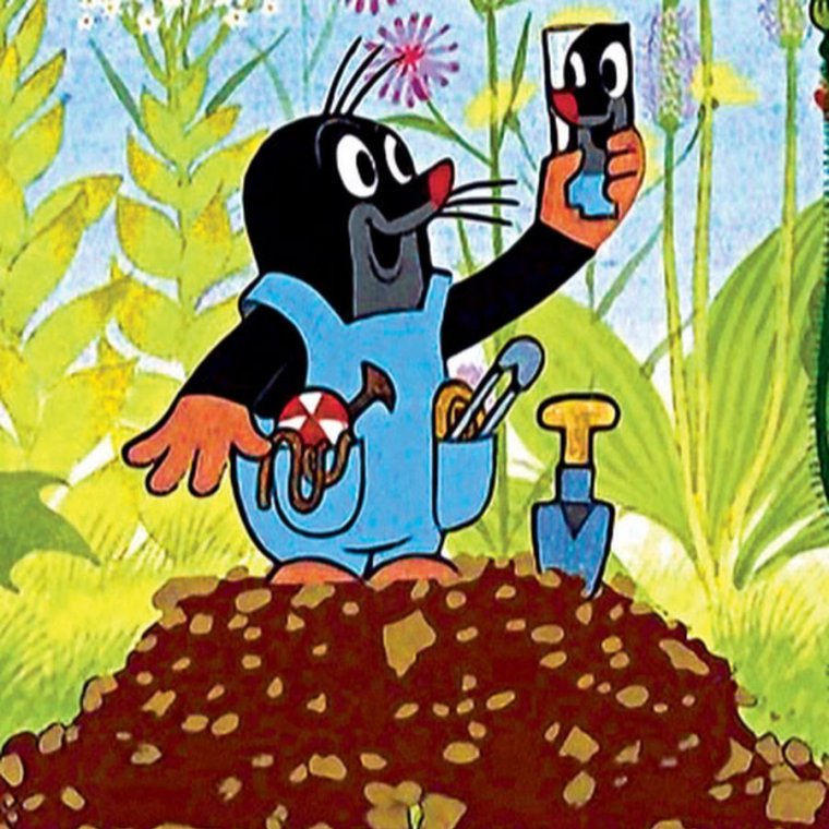 Русская выхухоль Desmana moschata