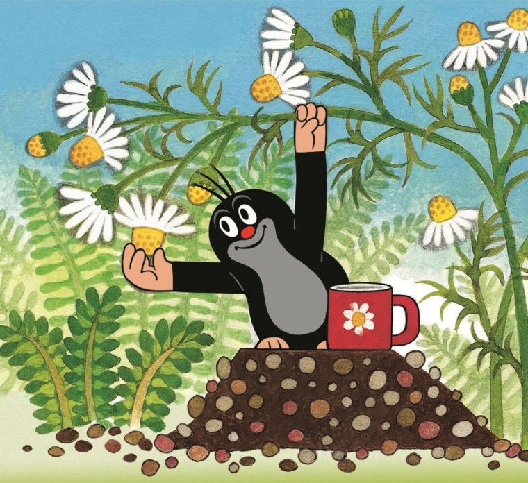 Крот черно белый