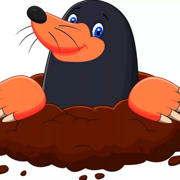 Krtek мультсериал