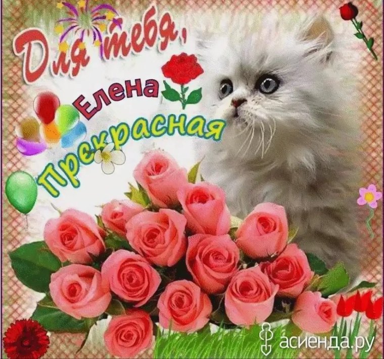 С днём рождения Леночка