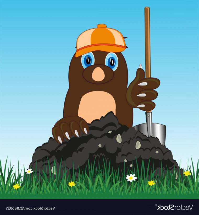 Какого размера Крот