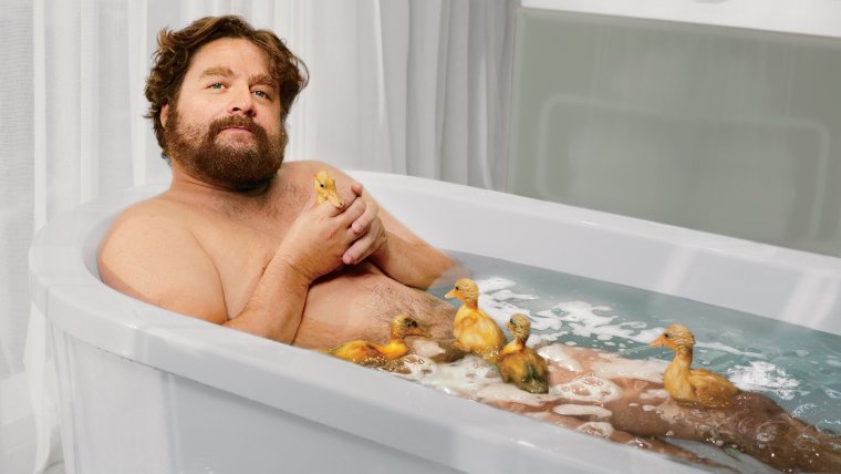 Зак Галифианакис фото