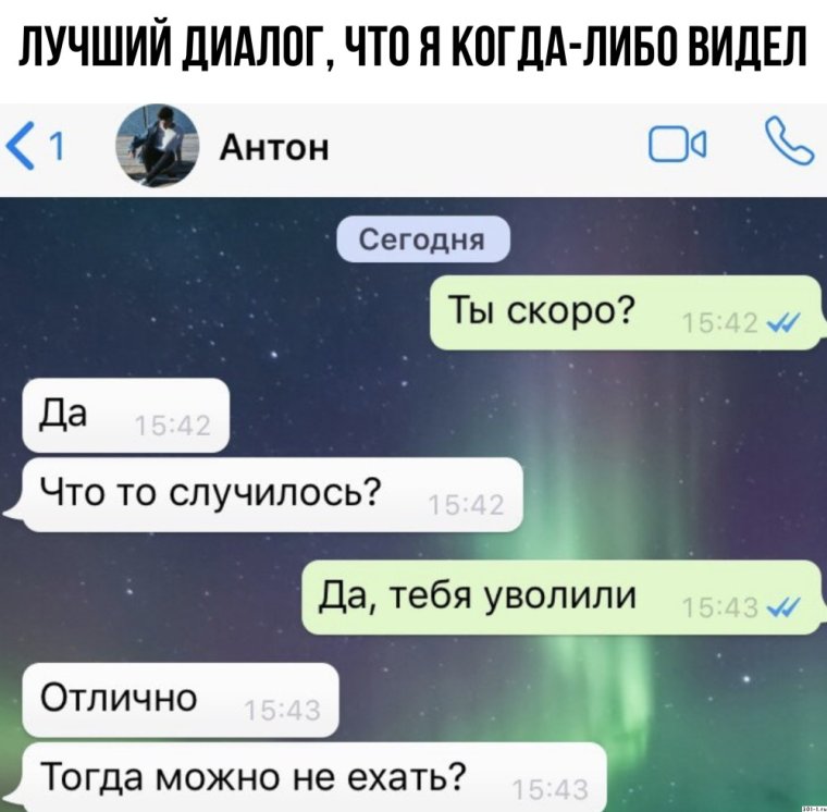 Осьминог прикол