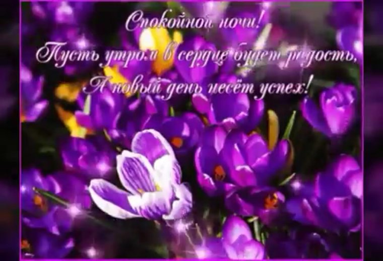 Доброй ночи сладких снов