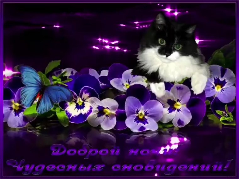 Красивых снов