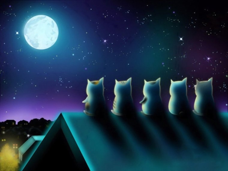 Кот на крыше