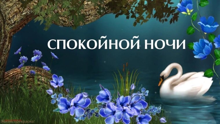 Спокойной весенней ночи