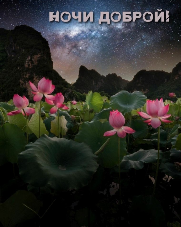 Пожелания спокойной ночи