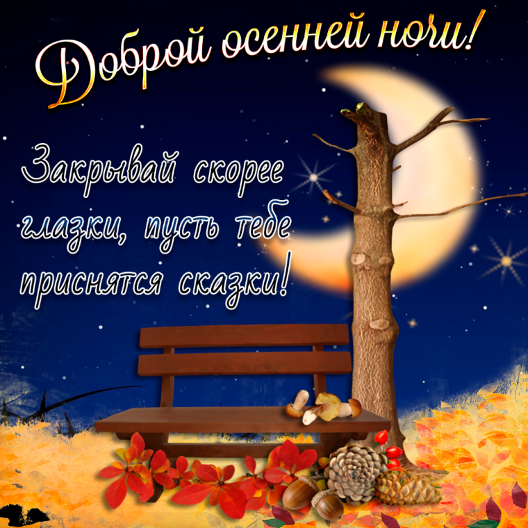 Пожелания спокойной ночи