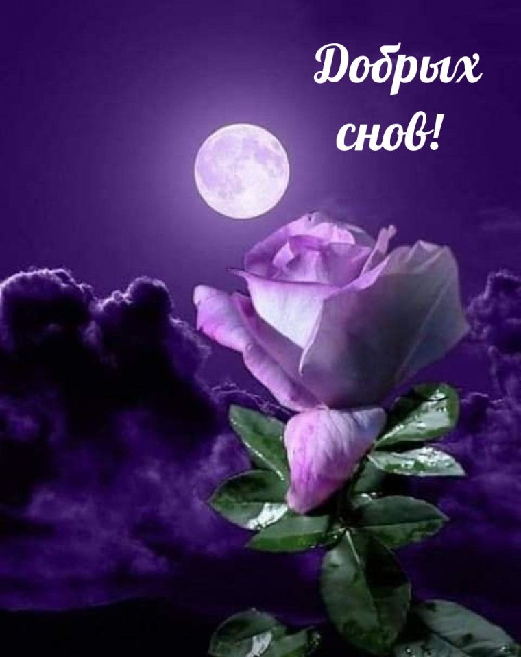 Тихого спокойного вечера