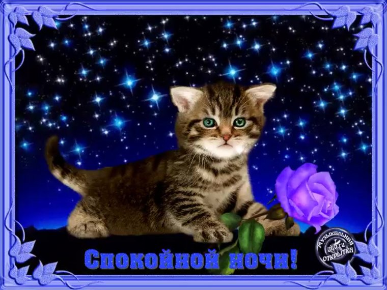 Хорошего вечера и доброй ночи