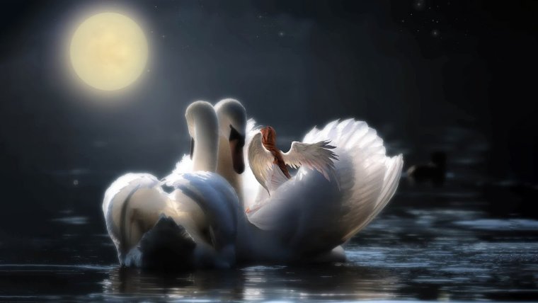 Спокойной ночи на английском языке