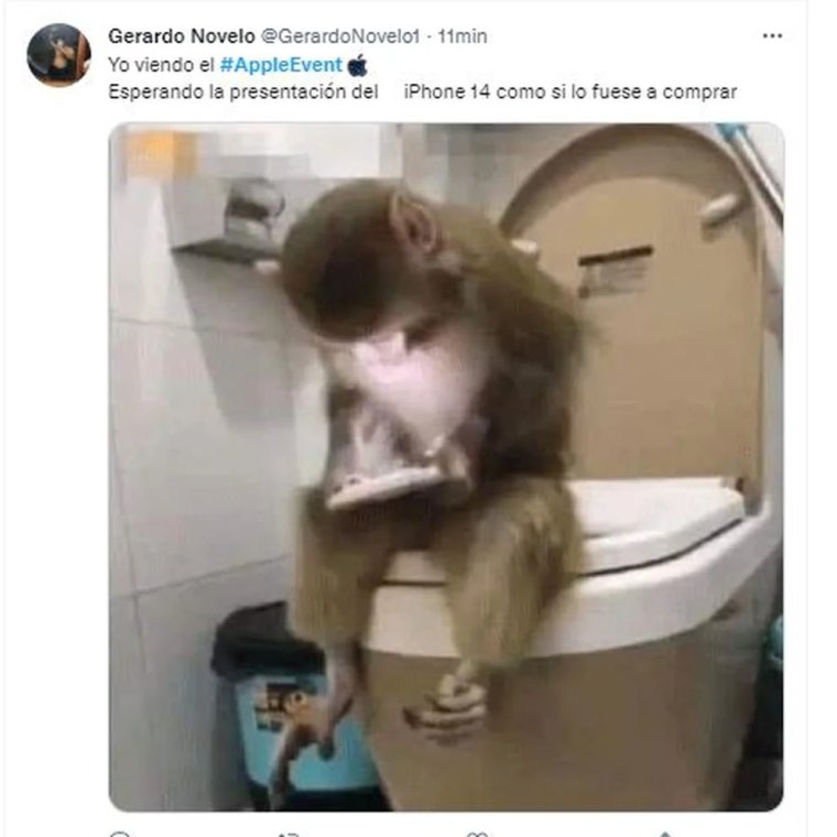 Обезьяна на толчке