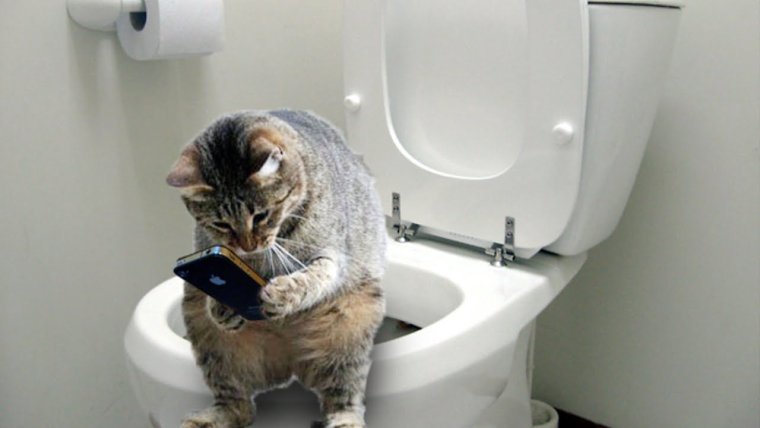 Мужчина на унитазе