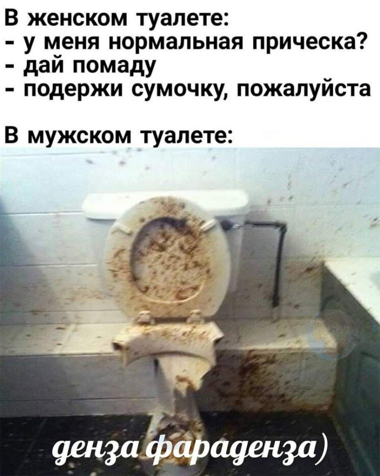 Унитаз для кошек