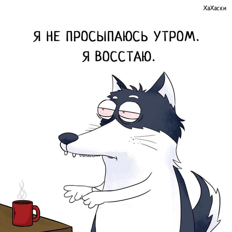 Мемы с добрым утром смешные