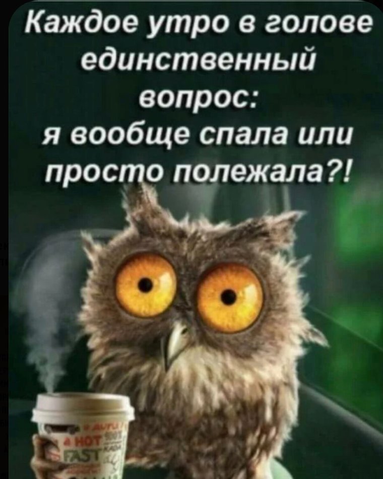 Крошка ши доброе утро