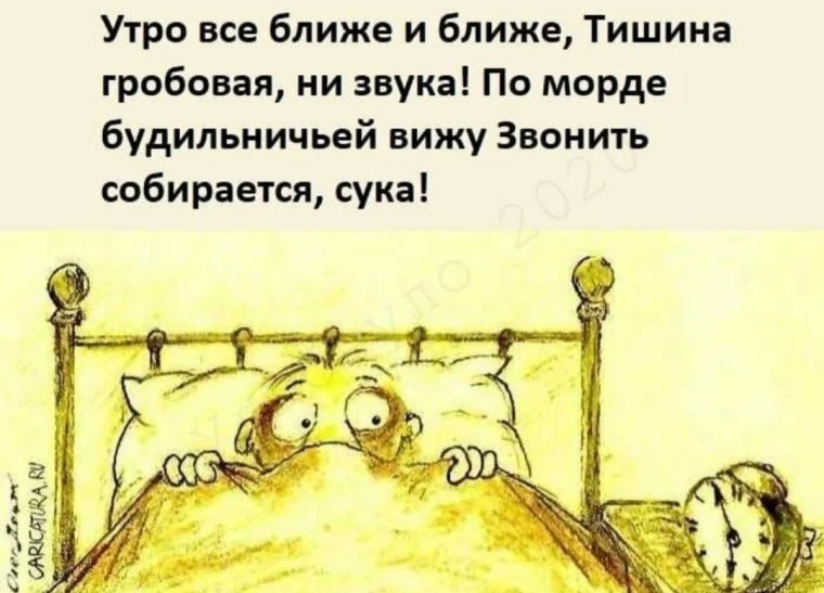 Смешные женские высказывания