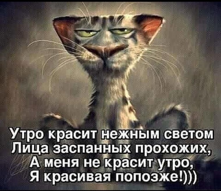 Доброе утро невыспавшиеся люди