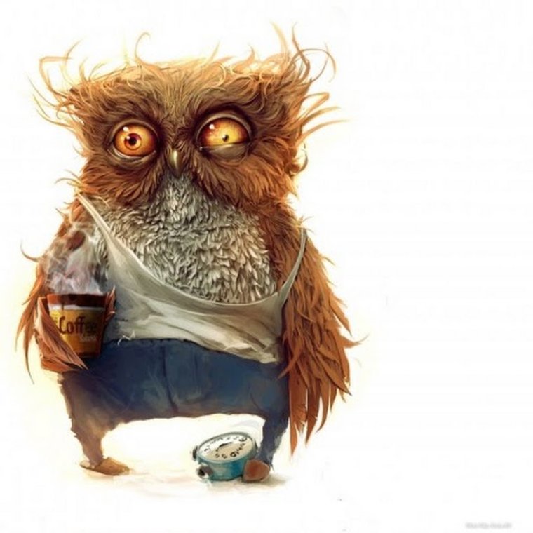 Ёжик в тумане прикольные