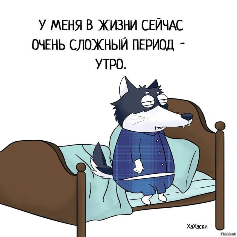 Доброе утро юмор