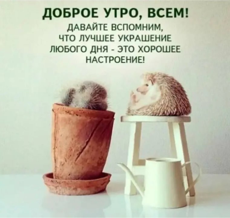 Демотиваторы доброе утро удачного дня