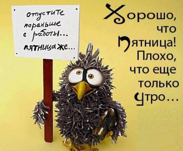 Прикольные высказывания про утро