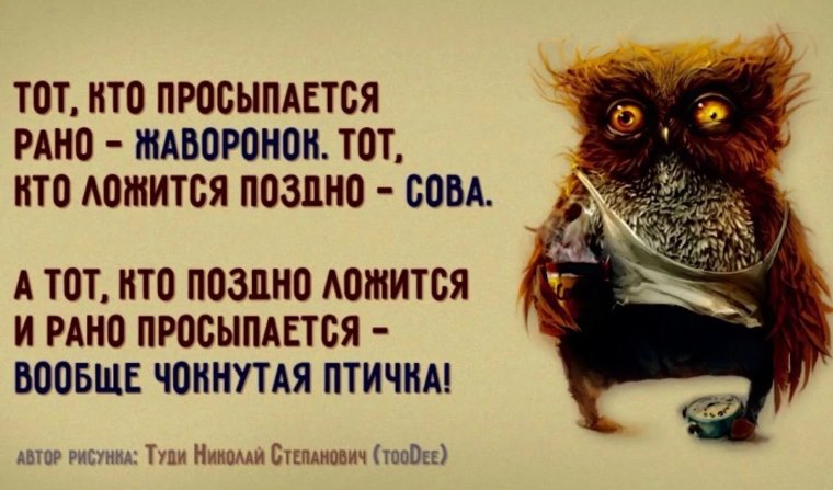 Статусы с добрым утром прикольные