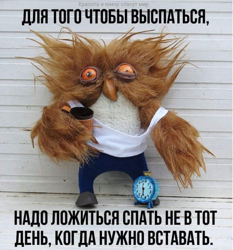 Ты высыпаешься куда высыпаюсь