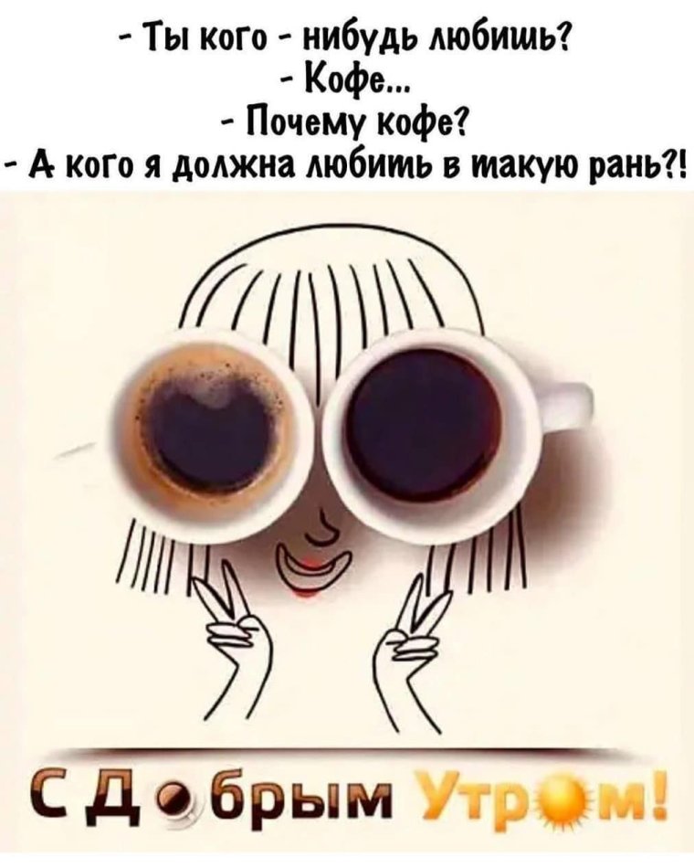 Утренние мемы с котами