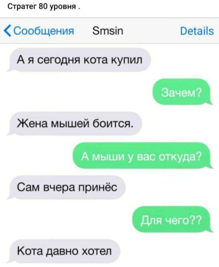 Мемные переписки в ватсапе